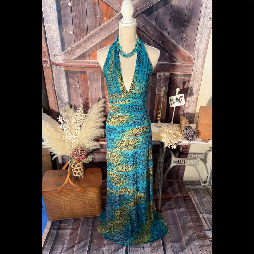 NWT BCBG Max Azaria Maxi Dress